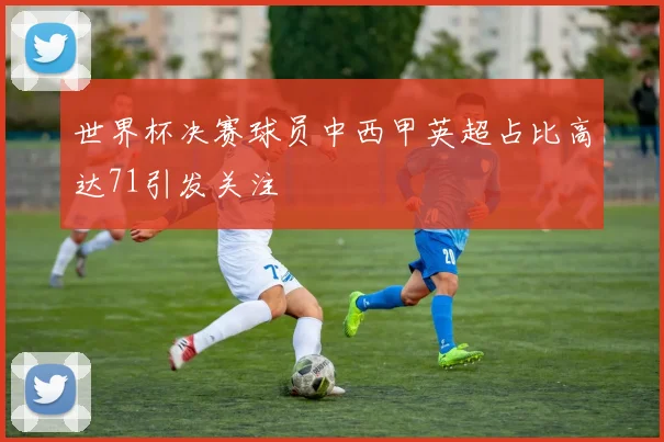 世界杯决赛球员中西甲英超占比高达71引发关注
